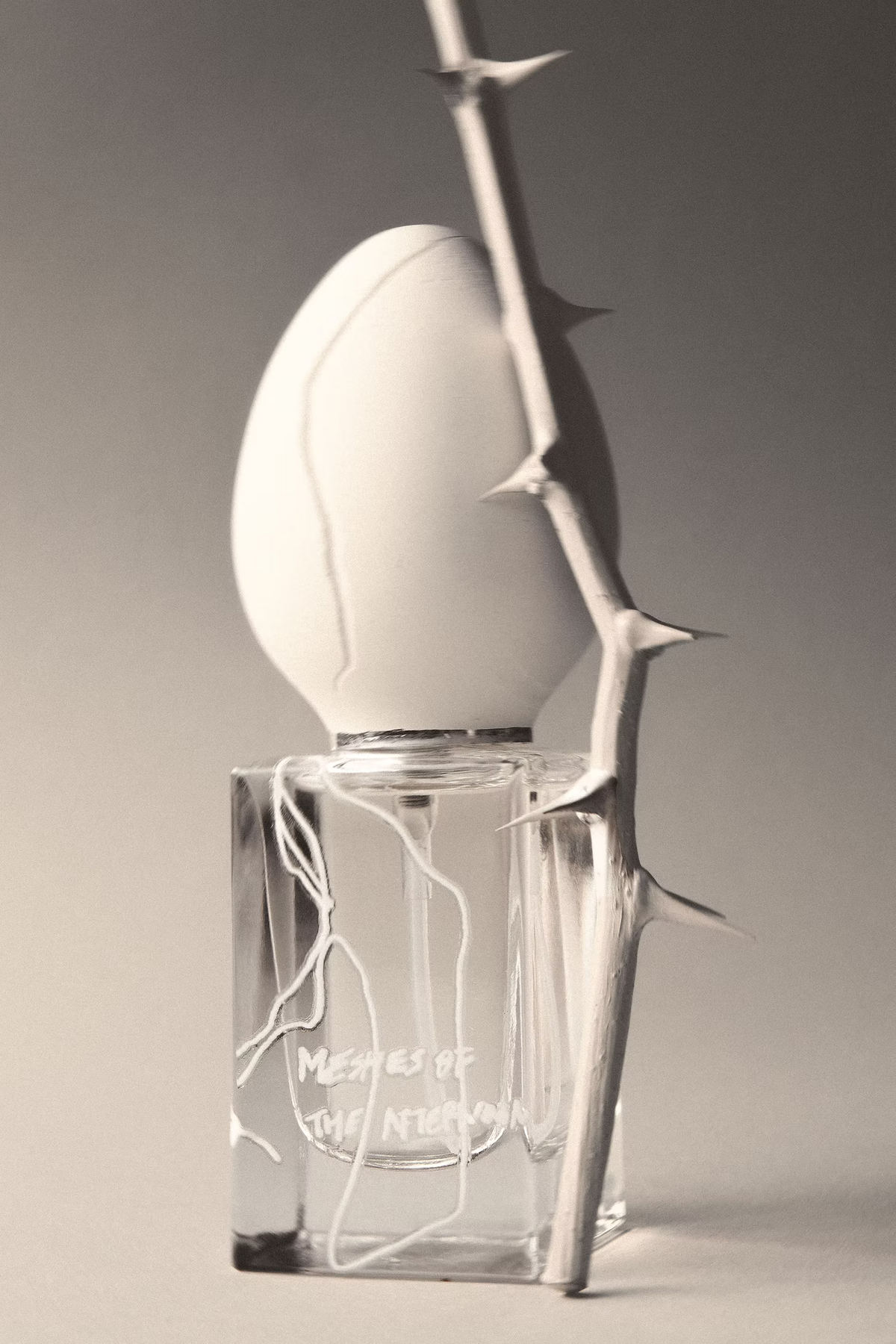Meshes of the Afternoon | Eau de Parfum 30ml