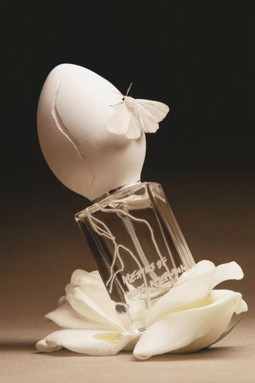Meshes of the Afternoon | Eau de Parfum 30ml