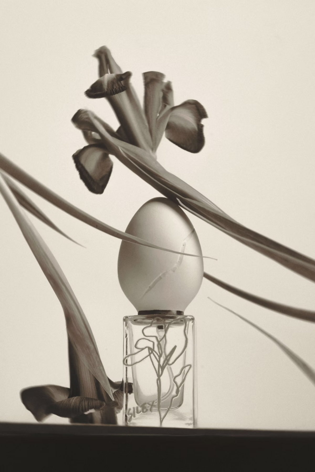 Silex | Eau de Parfum 30ml