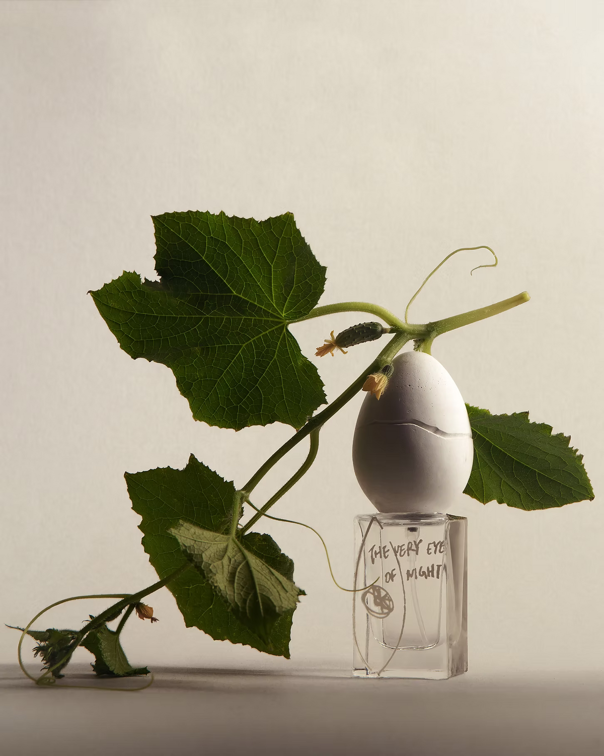 The Very Eye of Night | Eau de Parfum 30ml