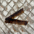 Plastic Comb | Antique Hair Accessory | Variant 5